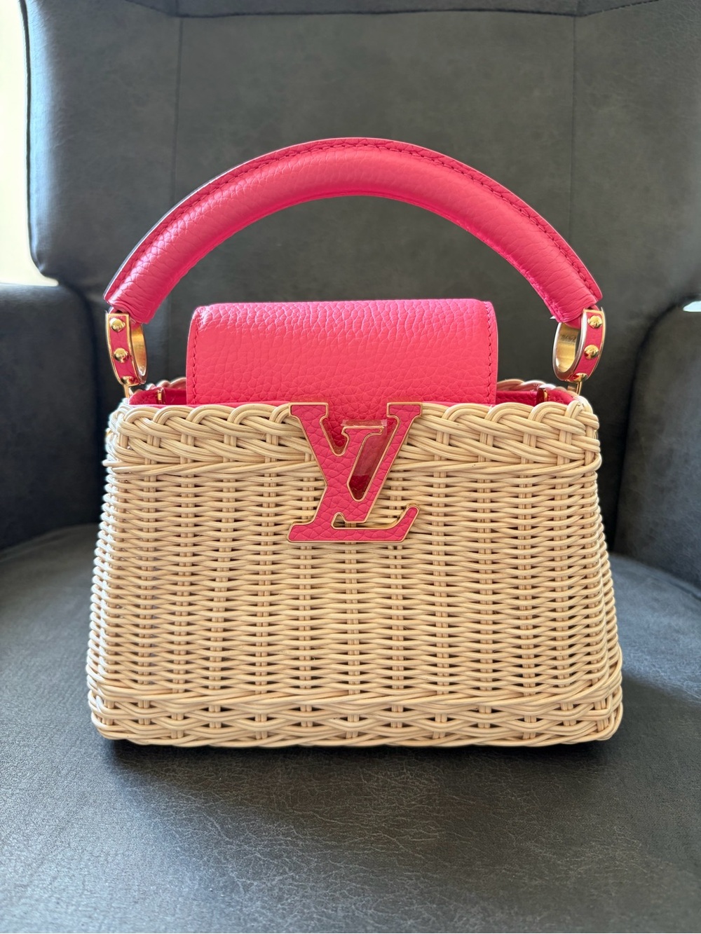 Louis Vuitton Limited Edition Capp Bag